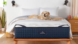 DreamCloud Mattress US