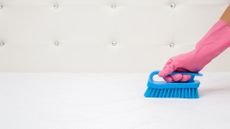 A hand wearing a rubber glove uses a soft bristled brush to clean a mattress after spraying the yellow stains with shaving foam